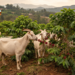 Frasi motivazionali cosa sono