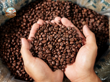 Tipologie di chicchi di caffè: guida completa