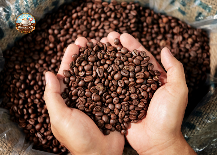 Tipologie di chicchi di caffè: guida completa