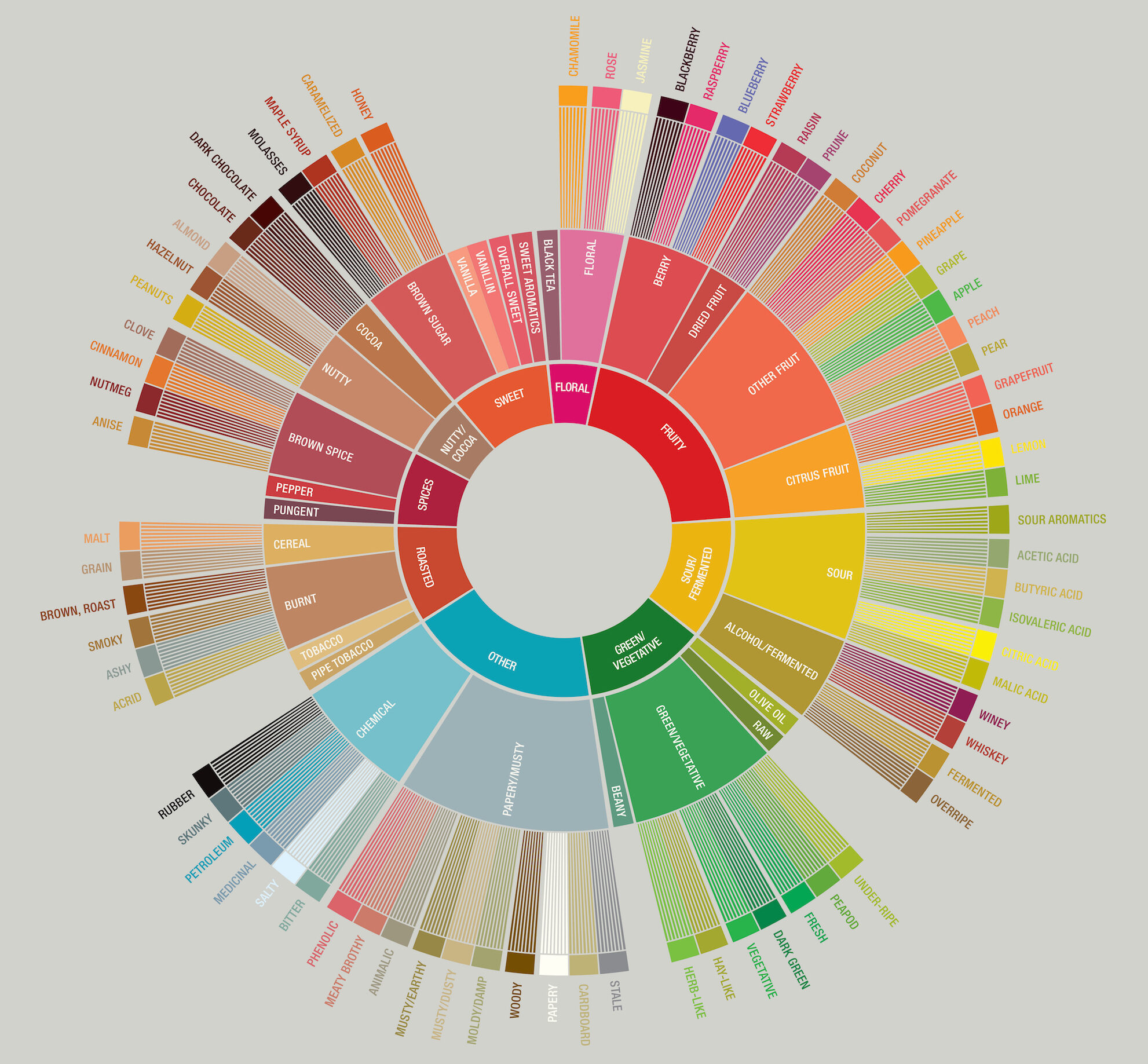 ruota degli aromi del caffè