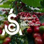 Bartender: chi è, cosa fa e come diventarlo