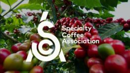Cos'è la scala di SCA, Specialty Coffee Association
