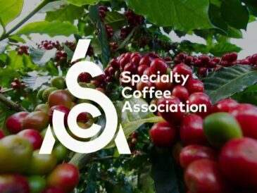 Cos'è la scala di SCA, Specialty Coffee Association