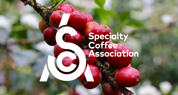 Specialty Coffee Association