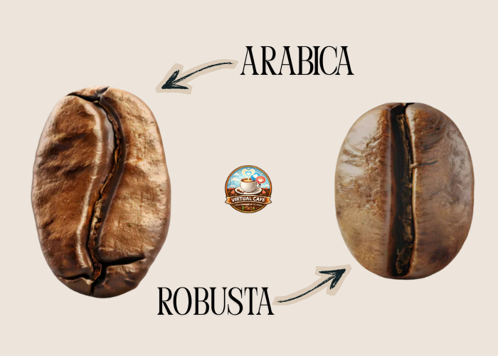 differenza tra arabica e robusta virtual cafè