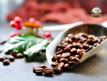 Guida completa al caffè specialty: cos’è, come valutarlo e perché è diverso